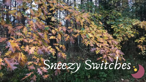 sneezyswitches nude