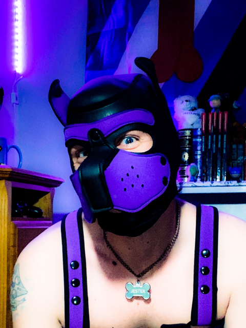 pup-jester nude