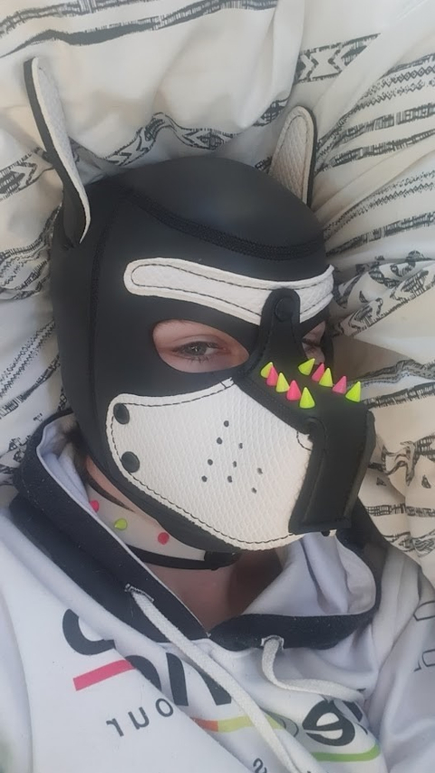 @pupdisko