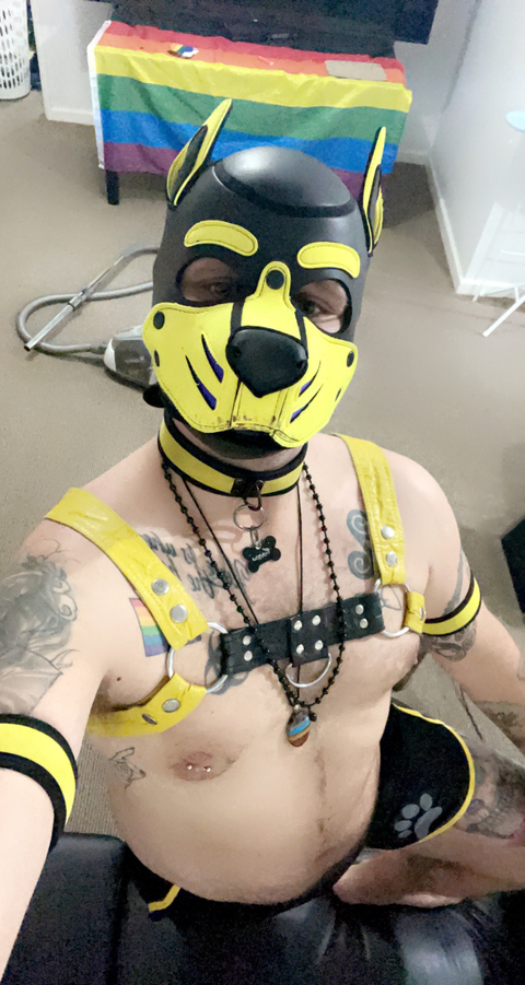 @pup_coops232