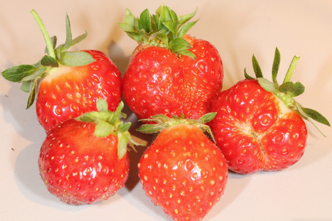 showerberries nude