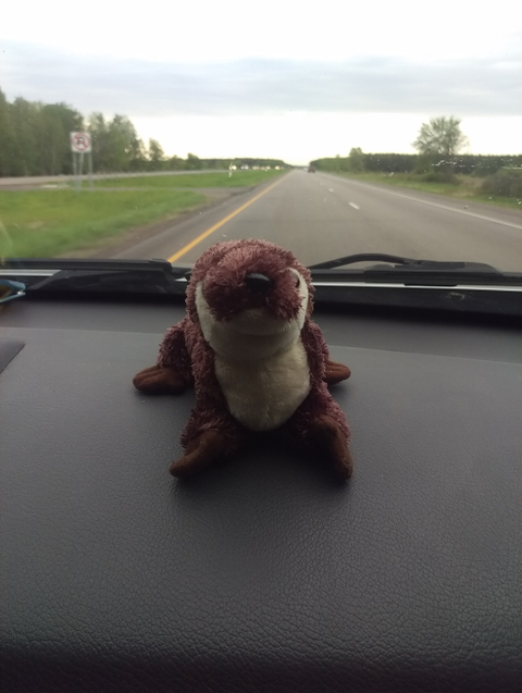 @otteronaroadtrip