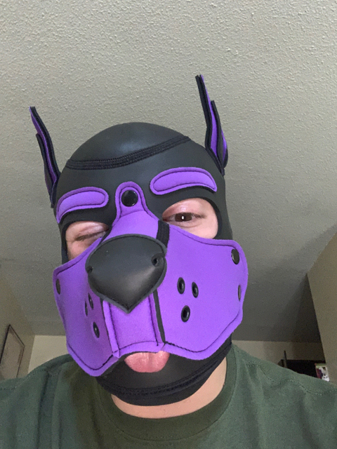 @pupdrako