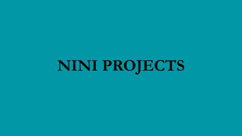 @nini.projects