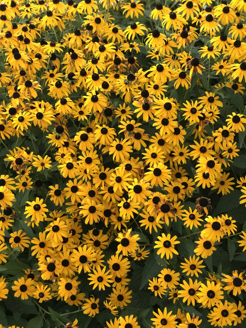 Ashley - ashbabygrl OnlyFans