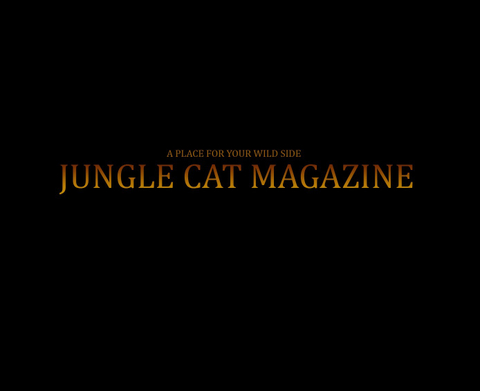 @junglecatmagazine