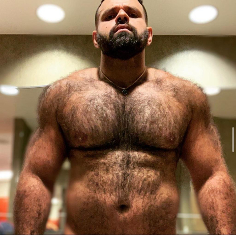 @brazilian_big_bear