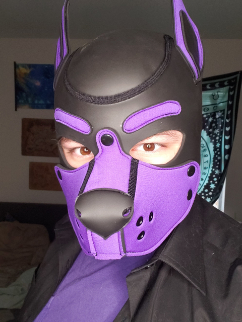 @pupmog