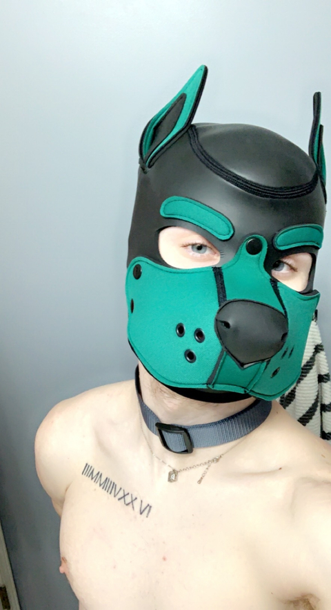 @pupjinx