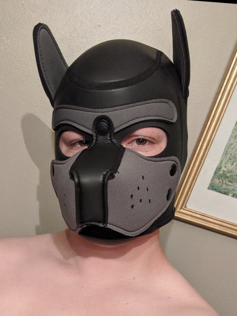 @pupjackal