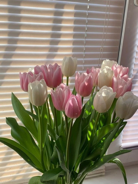 mtulipas nude