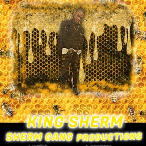 @shermgangpro