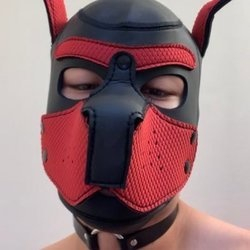 @pupkev_v