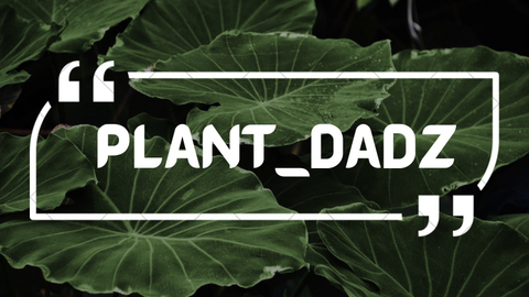 plant_dadz nude