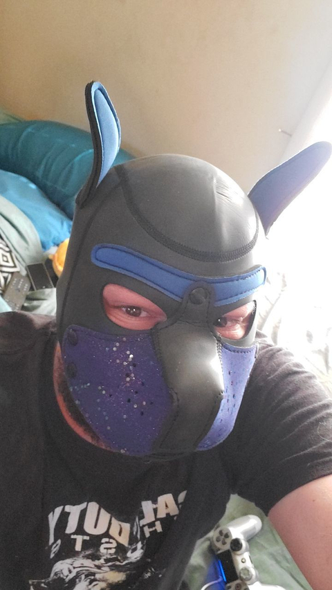 @pup_augie