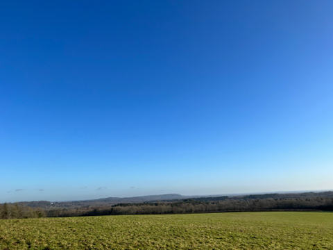 countrysurrey nude