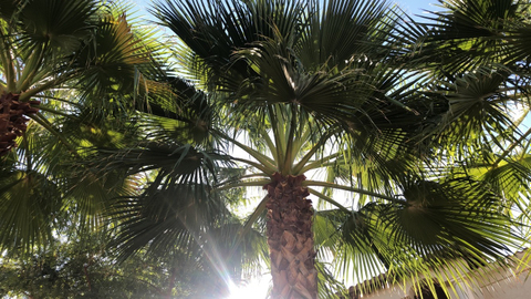 Lexi Luv - lexi_lluv OnlyFans