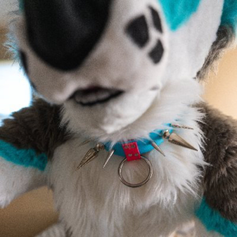 @affogato_husky