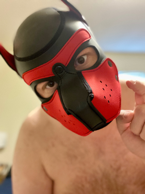 @pup_page