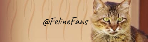 felinefans nude