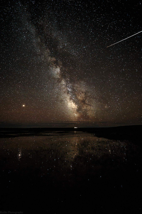 Grace Lee - grace-lee OnlyFans