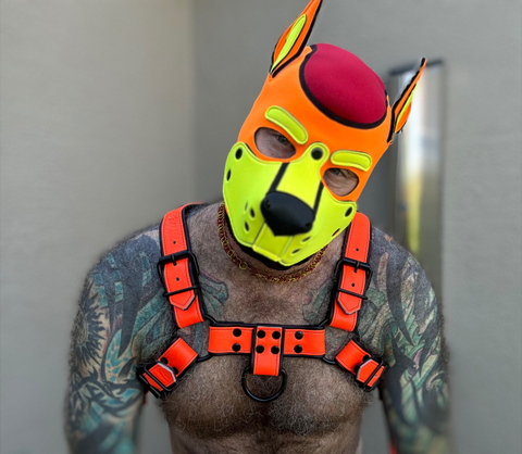 @powerpup69