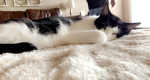 Meagan Nicole - meagannicole OnlyFans