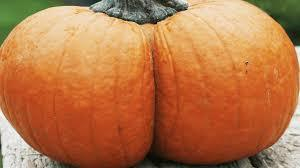 katharinepumpkinbutt nude