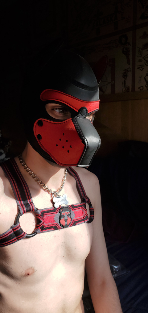 @pupcrixus