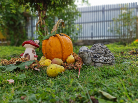 VictoriaS - u181210683 OnlyFans