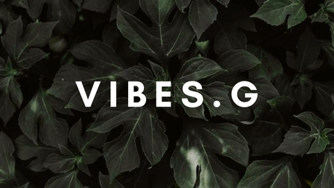 @vibes.g