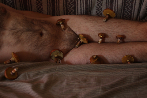 onlymushrooms nude