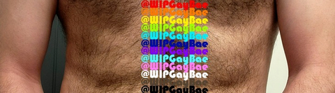 @wipgaybae