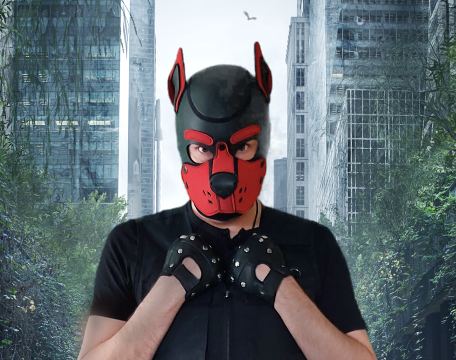 @pupdominix