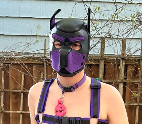 @pup_mellori