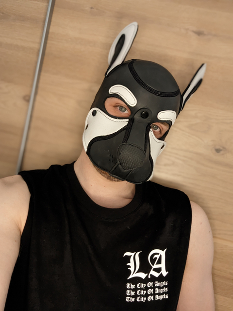 @pupmaxxi