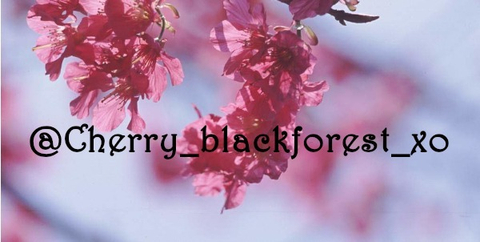@cherry_blackforest_xo