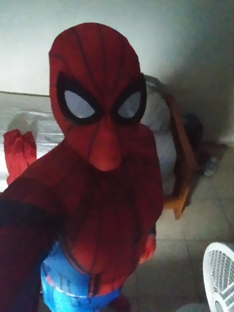 @numberonespiderfan