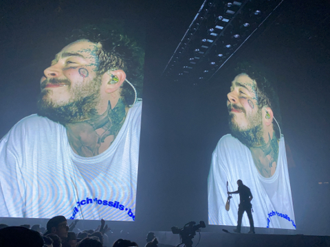 absoperfectionist nude