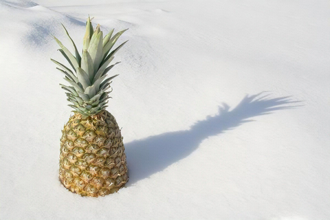 snowypineapple nude