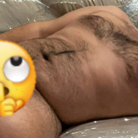 @bear_guy_pt