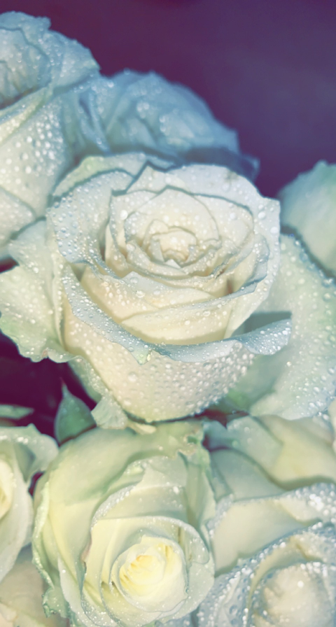 Cheyyy - chanel_chantelle OnlyFans