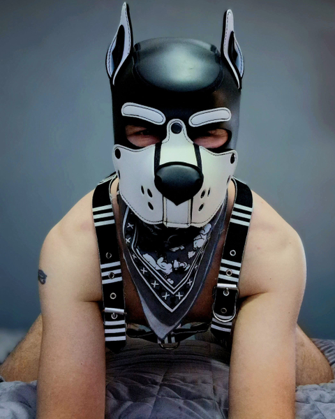 @pup-olliee