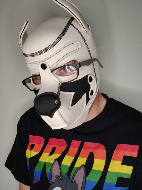 @pupdexter