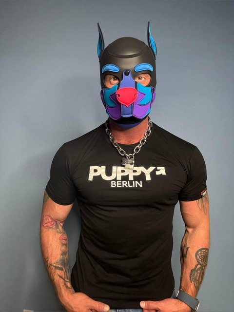 @harlow_pup