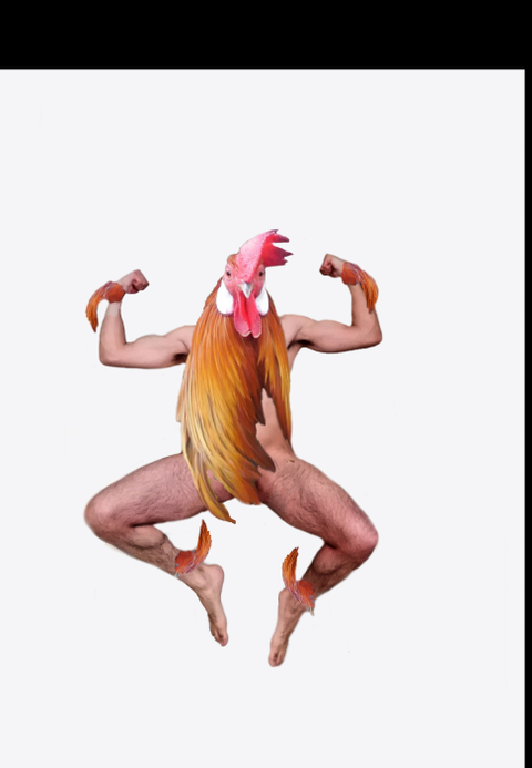 rooster2019 nude