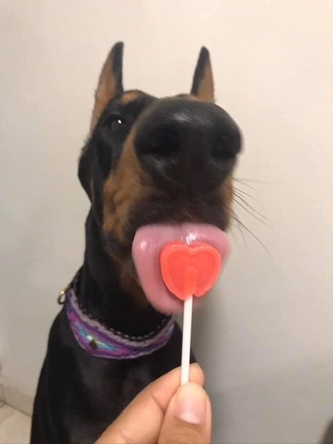 Bunny - butt.bunny OnlyFans