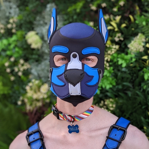 @puptrellis