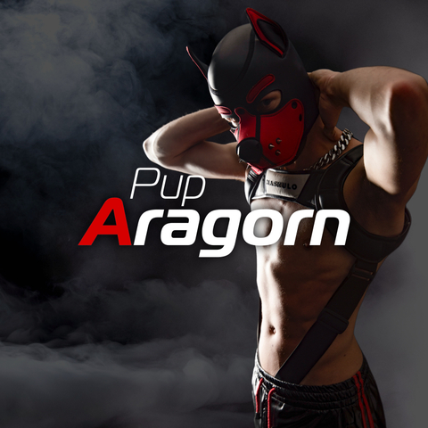 @pup_aragorn