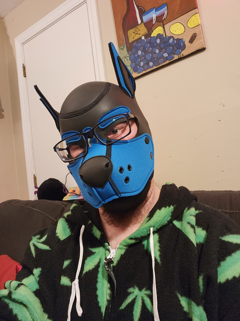 @pup_axle